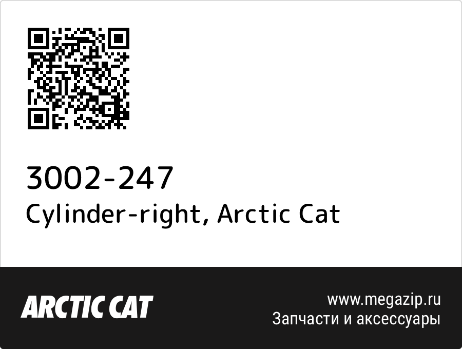 

Cylinder-right Arctic Cat 3002-247