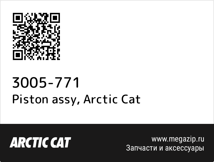 

Piston assy Arctic Cat 3005-771