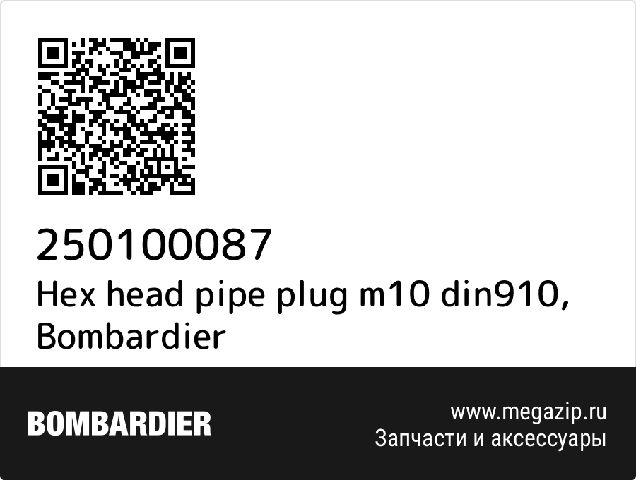 

Hex head pipe plug m10 din910 Bombardier 250100087