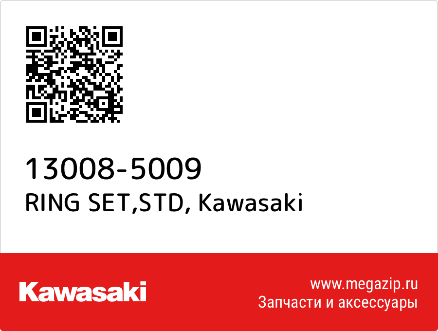 

RING SET,STD Kawasaki 13008-5009