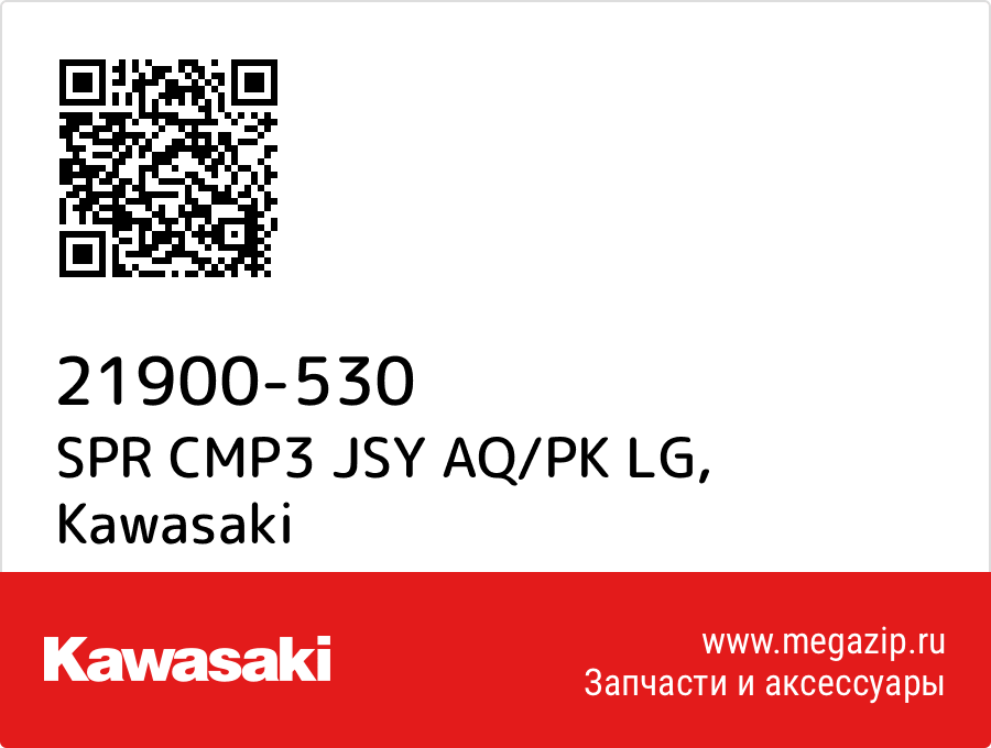 

SPR CMP3 JSY AQ/PK LG Kawasaki 21900-530