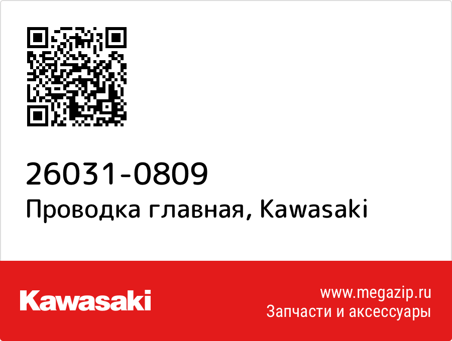 

Проводка главная Kawasaki 26031-0809