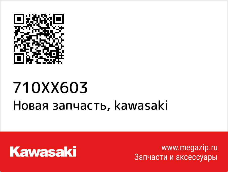 

FASTSHINE Kawasaki 710XX603