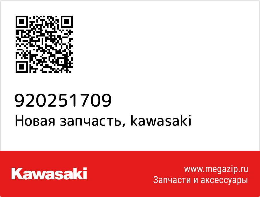 

Шайба Kawasaki 92025-1709