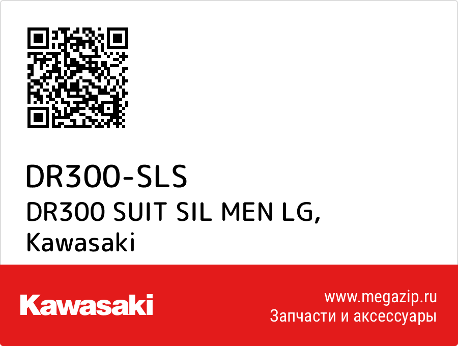 

DR300 SUIT SIL MEN LG Kawasaki DR300-SLS