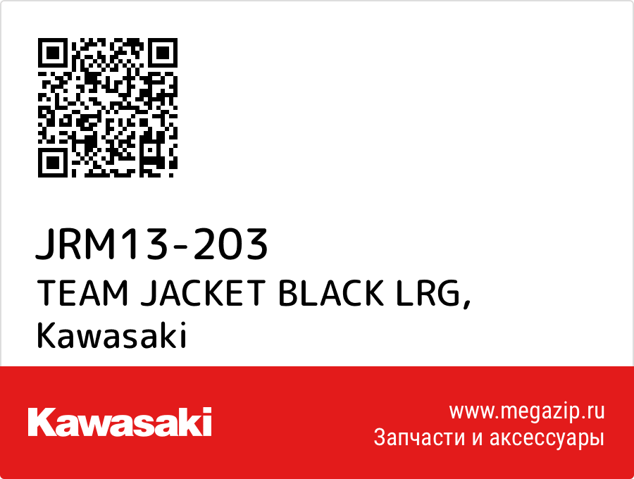 

TEAM JACKET BLACK LRG Kawasaki JRM13-203