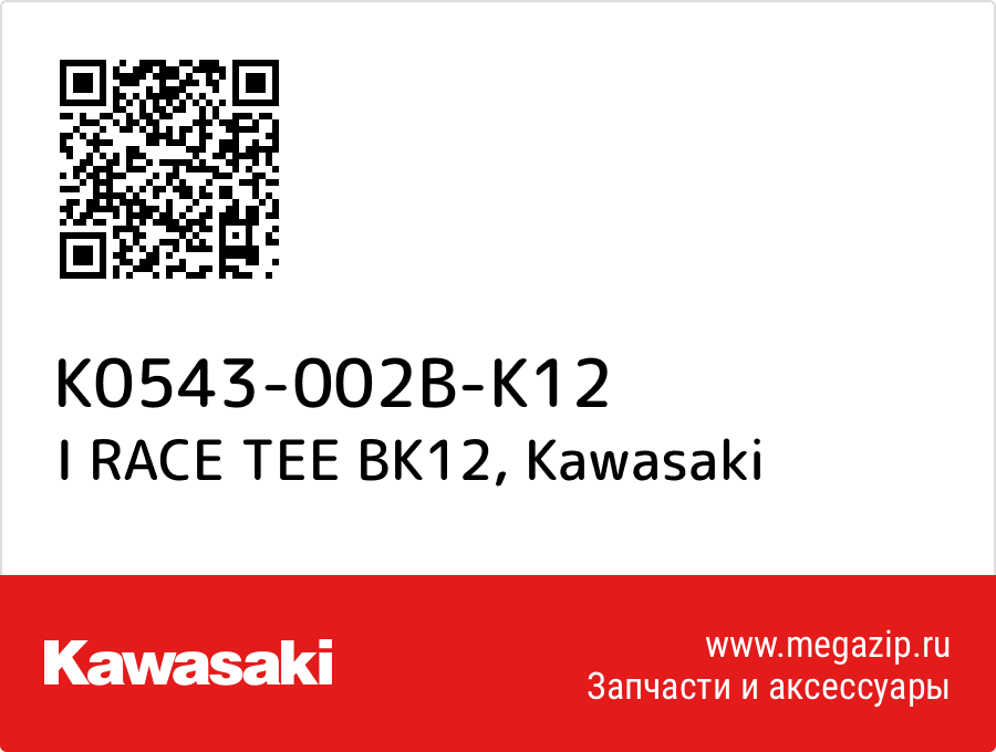 

I RACE TEE BK12 Kawasaki K0543-002B-K12