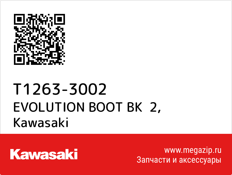 

EVOLUTION BOOT BK 2 Kawasaki T1263-3002