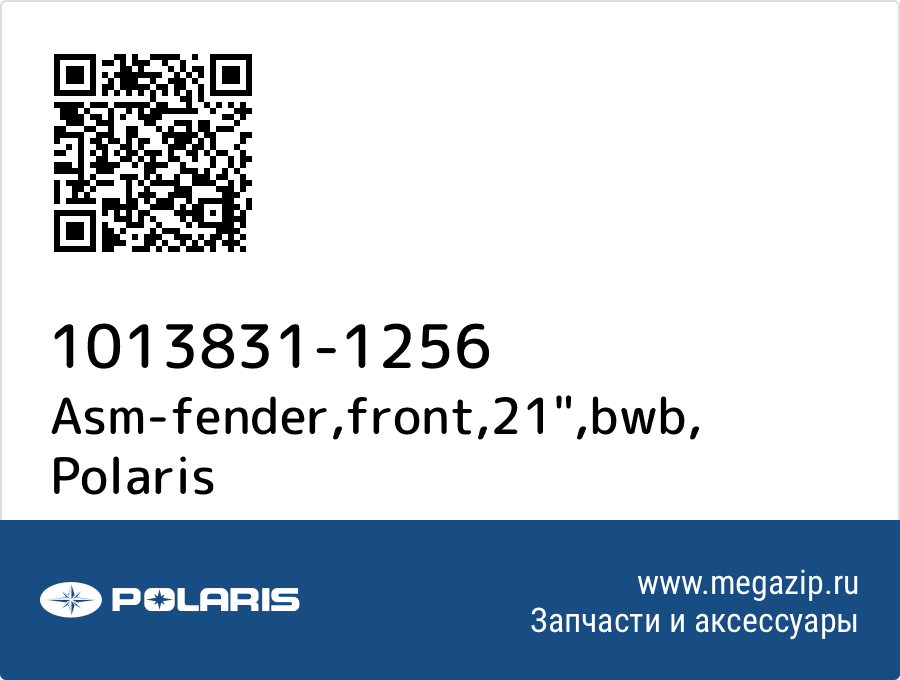 

Asm-fender,front,21",bwb Polaris 1013831-1256