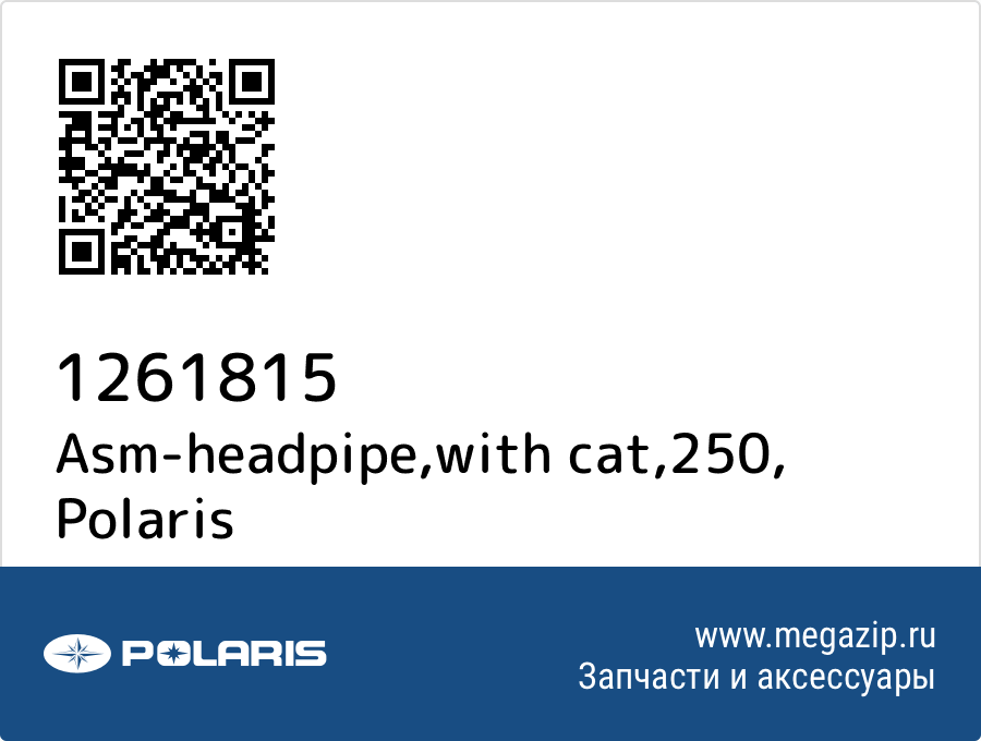 

Asm-headpipe,with cat,250 Polaris 1261815