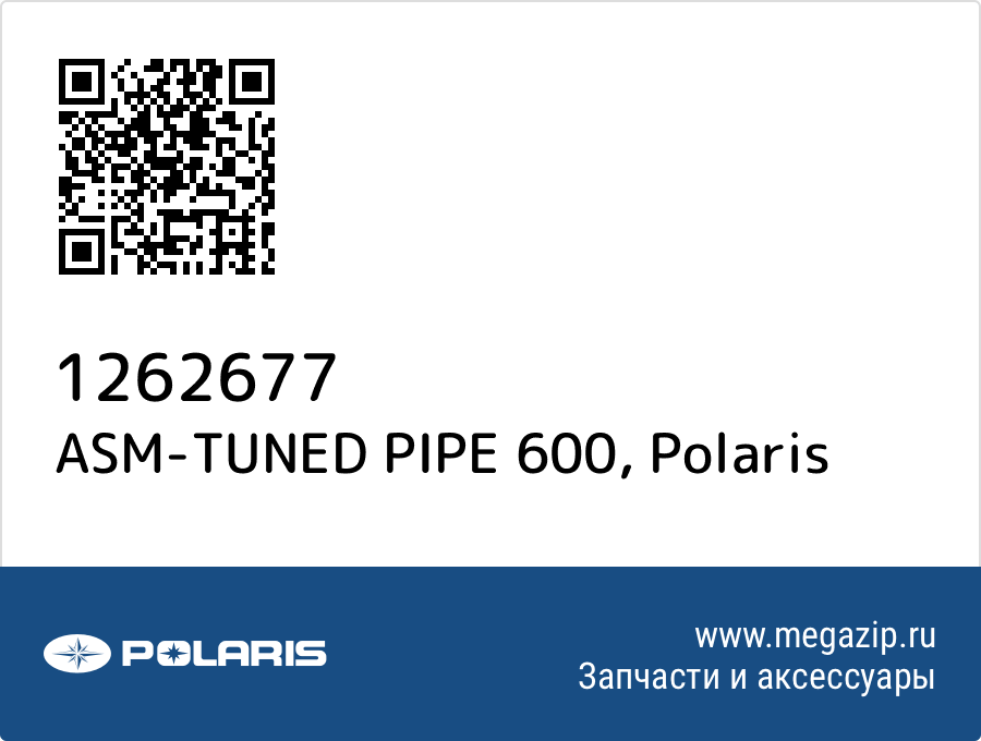 

ASM-TUNED PIPE 600 Polaris 1262677