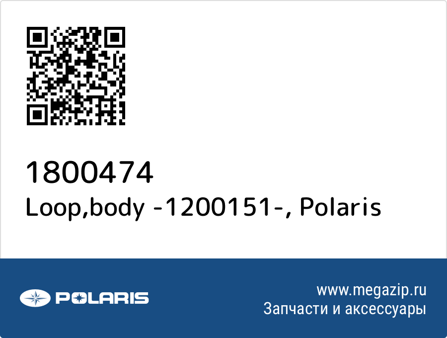 

Loop,body -1200151- Polaris 1800474