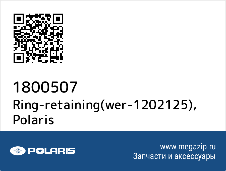 

Ring-retaining(wer-1202125) Polaris 1800507