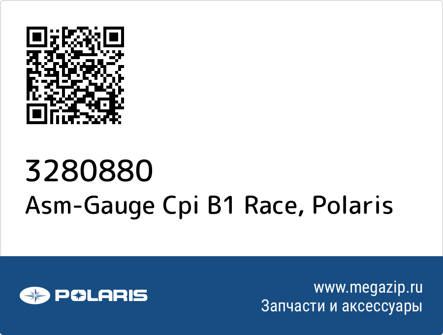 

Asm-Gauge Cpi B1 Race Polaris 3280880