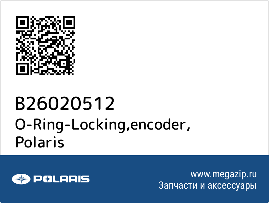 

O-Ring-Locking,encoder Polaris B26020512